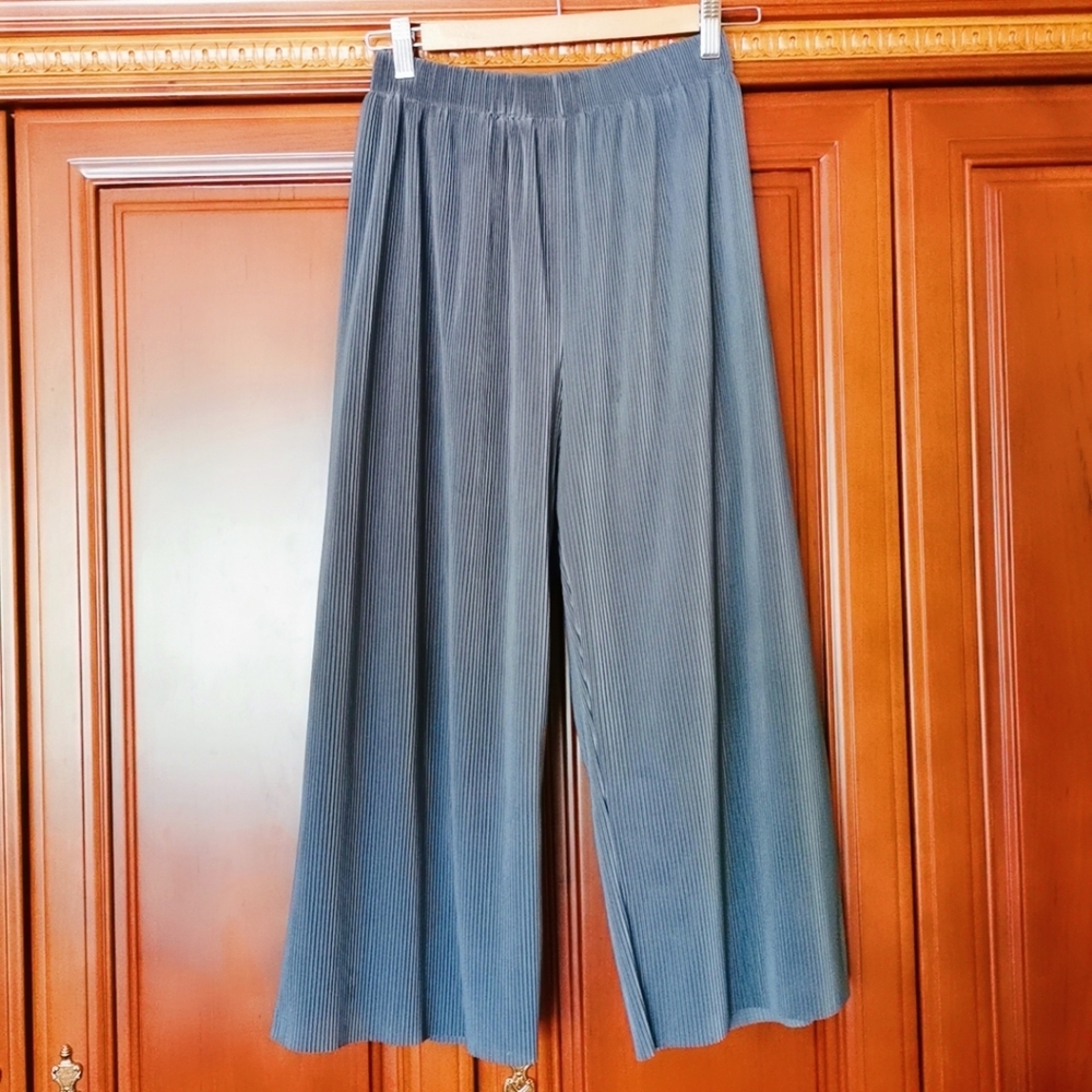 3⃣/$30 Pleated wide-leg pants
